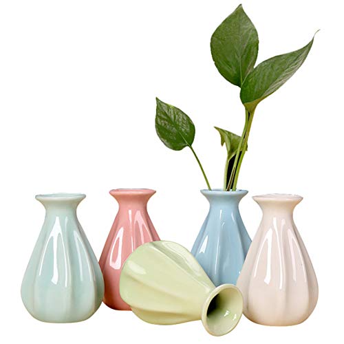 XuanMax Mini Jarrón de Cerámica Conjunto de 5 Modernos Hechos a Mano Flores Planta de Macetas Floreros Decorativos de Porcelana para Sala de Estar Hogar Decoración (No Incluye Flores Artificiales)