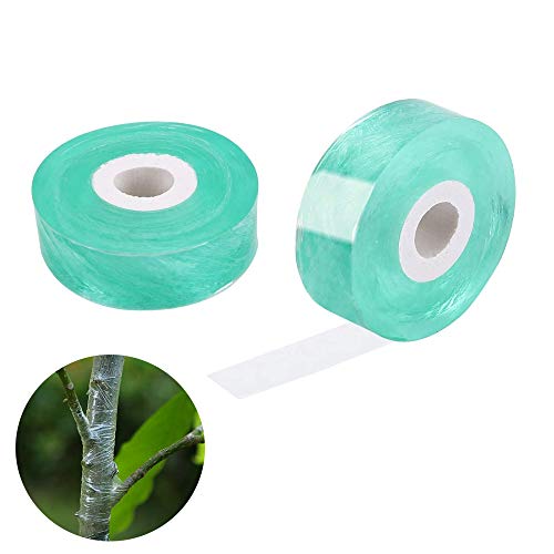 xutong 2 Piezas Cinta de Injerto, Cinta de Cultivo de Plantas de Jardín, Cinta de Injerto para Vivero Transparente, Estirable, Biodegradable, 2 cm * 100 m (Verde Claro)