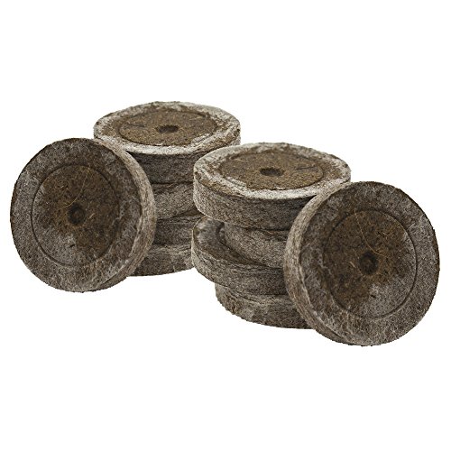 100x Jiffy original, con 41 mm para el cultivo de esquejes y plantas de semilleros, tierra de siembra, tierra de turba, tabletas de turba, incluye abono Greenception en distintas cantidades 100g