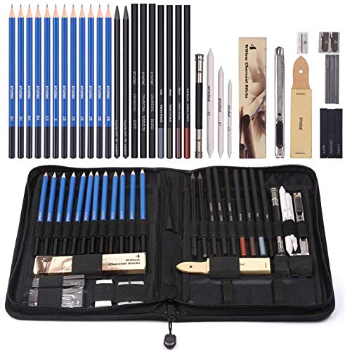 Amzdeal 42 Pcs Lápices de Dibujo Artístico para Boceto, Set de Dibujo con Lápices de Carbón y Grafito, Lapices Profesionales con Estuche Portátil para Estudiantes Artistas Niños Adultos