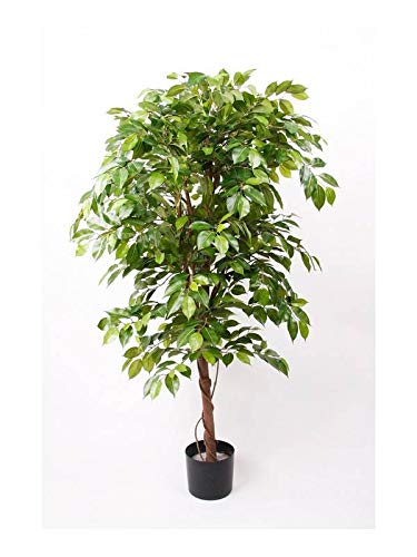 Artplants Set 2 x Ficus benjamina Artificial Bartolo, Tronco Real, Verde, 170cm - Ficus Decorativo/Planta sintética