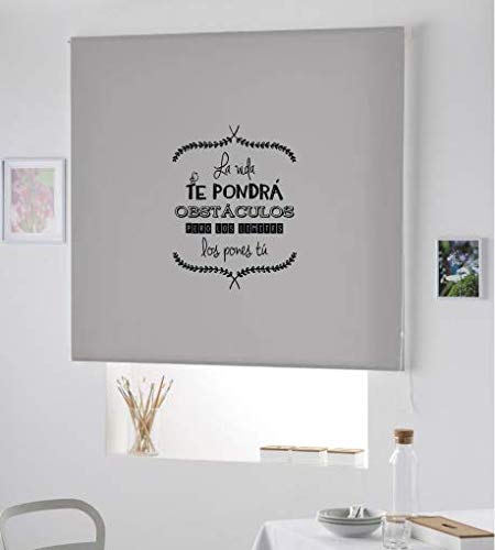 Desconocido ESTORES ENROLLABLES con Frases OBSTACULOS - Preciosos ESTORES TRANSLUCIDO con Frase MOTIVADORA-Estor con Frase LA Vida TE PONDRA OBSTACULOS Pero LOS LIMETES LOS PONES TU- (Gris, 160X175)