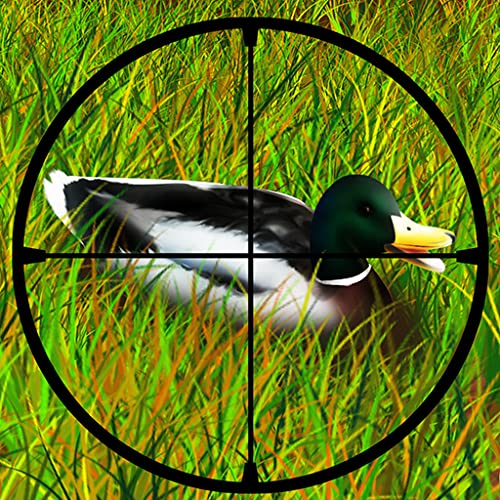 Duck Hunting : la caza después de la temporada de venado en el gran parque forestal - edición gratuita