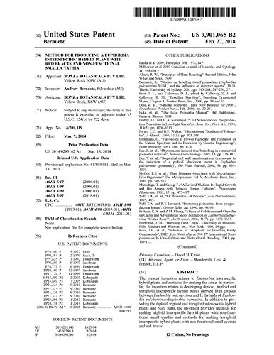 Method for producing a euphorbia interspecific hybrid plant with red bracts and non-functional small cyathia: United States Patent 9901065 (English Edition)