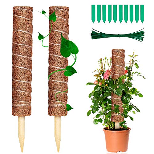 WELLXUNK® Palo Trepador De Plantas, 2 Piezas 40cm Palo de Tótem de Coco Palo de Musgo de Coco, Bastón de Tótem de Musgo de Coco, para Enredaderas Soporte de Plantas Extensión Escalada Plantas