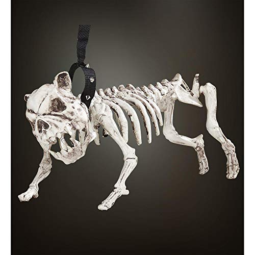 WIDMANN Perro Esqueleto con Correa Halloween , color/modelo surtido