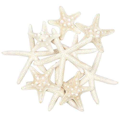 Yixuan 10PCS Estrellas de mar Estrella de mar Natural Estrella de mar Decoracion Molde Estrella mar decoración de Bodas/Fiesta temática en la Playa/Decoraciones para el hogar/Bricolaje