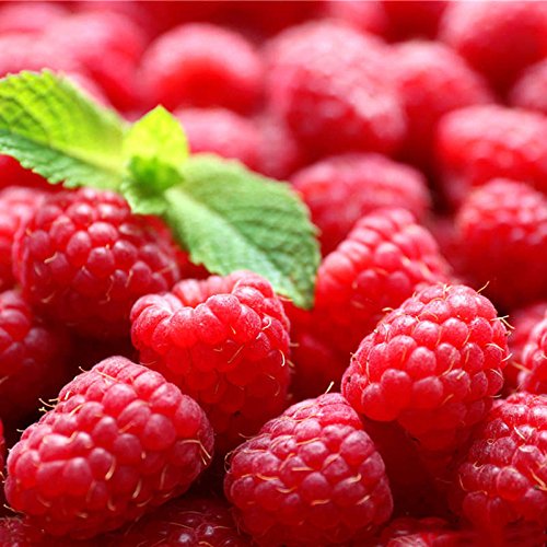 25 unids Raspberry Seeds, Garden Organic Fruit Vegetable Seeds Mini Bonsai Fruit Garden Plantas Semillas para la sala de estar Home Garden Plant Seeds