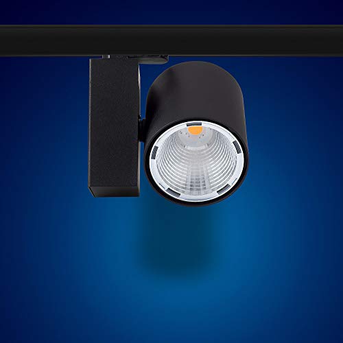 30 W k20b Blanco Cálido Foco LED 3 fases (fr Sistema de raíles