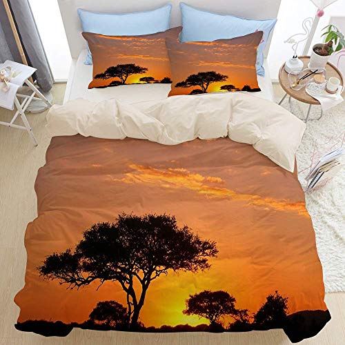 695 Juego de funda de edredón para cama doble, african-sunset-sebastian-musial, dormitorio de 3 piezas, edredón de microfibra de plumón, cierre de cremallera con 2 fundas de almohada.