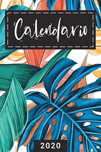 Calendario 2020: Grande Calendario completo per tutto l'anno, ogni giorno separatamente, planner mensile e giornaliero, notebook, copertina floreale ... e foglie blu e arancioni (420 siti, 6 x 9)