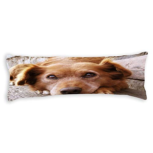 Funda de almohada para tumbarse en el suelo de perros cachorros Looks at You