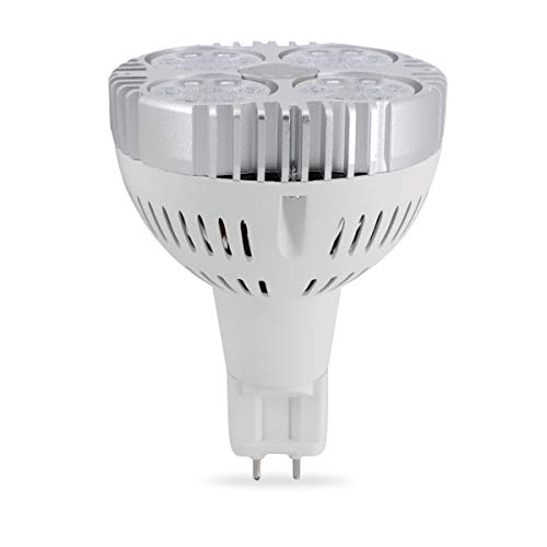 G12 Led Par30 Luz 24W E27 Par30 Foco Reemplaza 75W Halogenuro Metal AC85-265V 3 años de garantía 4000K (Blanco Natural)