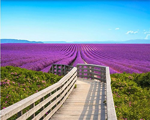 Lqwx Puente De Madera Pasamanos Foto Papel Tapiz Paisaje Campos De Lavanda Cielo Azul Como Telón De Fondo Las Grandes Paredes De Papel Mural Moderna -120Cmx100Cm