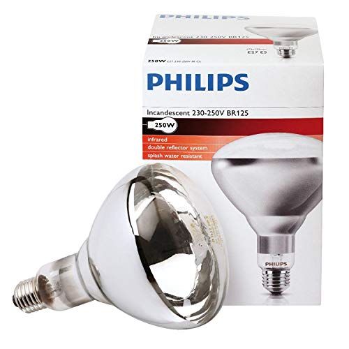 Philips IR250CH BR125 230-250V E2 Landwirtschaft. Lebensmit