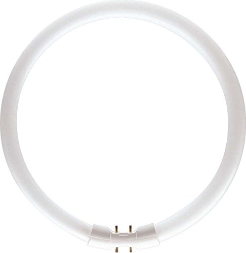 Philips TL5-C Master - Lámpara fluorescente (40 W, 830)