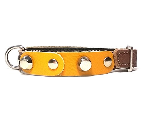 Superpipapo Original Collar de Piel para Perros Pequeños, Cachorros y Chihuahuas, Correa Opcional, Diseño con Pinchos y Cuero Amarillo Marrón, 30 cm XXS: Cuello 20-25 cm, Ancho 13mm