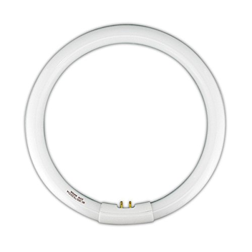 Tubo fluorescente circular T5 22W 'fino'