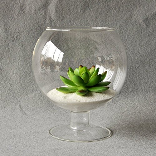 BigFamily Clear Cup Shape Hydroponic Contenedor DIY Home Table Wedding Garden Decoration Glass Hanging Vase Bottle Plant Pot Flower DIY