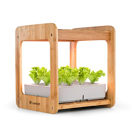 Blumfeldt Urban Bamboo Jardín hidropónico - Huerto, Sistema para Plantas, Invernadero en casa, 12 Plantas, Bomba incorporada, 24 W LED, 7 litros, Cultivo Propio, Macetas, Bambú, Marrón