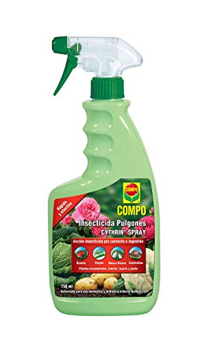 Compo Cytrhin Spray Insecticida Pulgón, para Plantas Ornamentales, de Interior, Huerta y jardín, Envase pulverizador, 750 ml