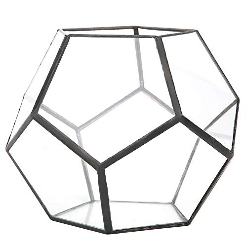 Fdit Cristal geométrico carnoso Flor habitación artesanía Invernadero Micro Paisaje Botella de Vidrio (18 * 18 * 15 cm)