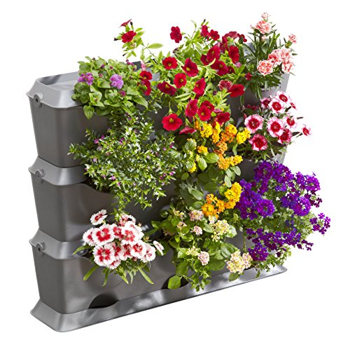 Gardena NatureUp Set Básico 9 Plantas para Plantar un jardín Balcones, terrazas y Patios Cont: 3 jardineras Verticales, 3 Cubiertas, 1 Placa de Base, 12 Clips Kit, Gris, 30.1x21.7x66.3 cm