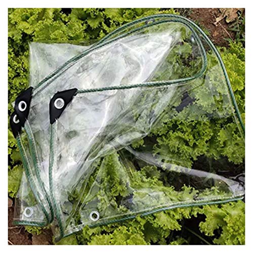 GYYARSX Lonas Transparente Lona Alquitranada Cubierta Impermeable para Plantas Espesas De PVC De 0,3mm, Borde Verde, para Ventana, Balcón, 40 Tamaños (Color : Clear, Size : 1.0X9.0M)