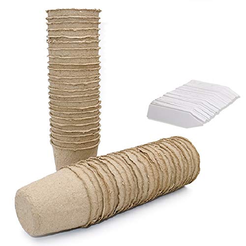 KINGLAKE 100 macetas pequeñas de fibra redonda biodegradables de 6 cm con 100 etiquetas para plantas de plástico, color blanco, 1 x 5 cm