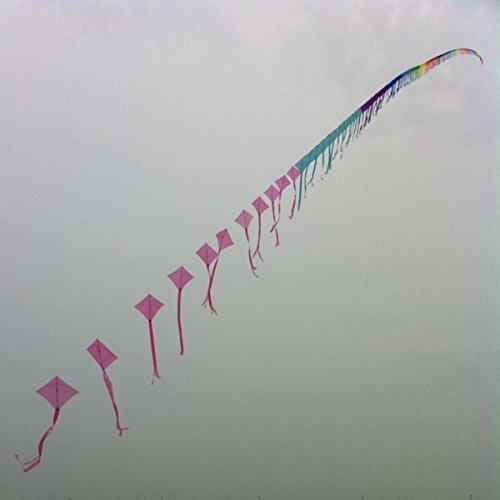 Kite Lines