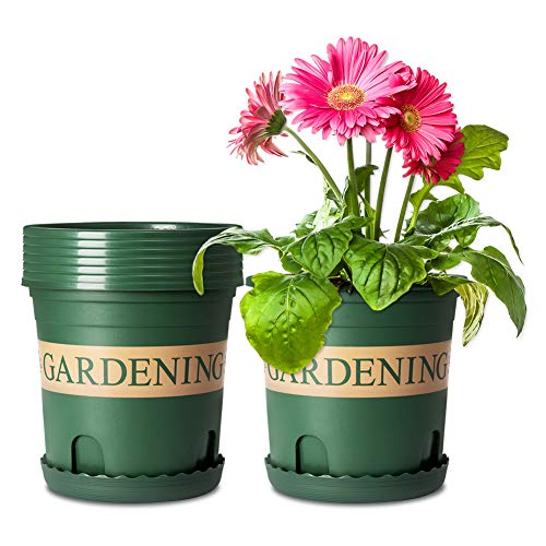 Mengxin 5 Piezas Maceta de Plástico con Bandeja 16 CM Macetas Vivero Plastico Redondo Decorativo para Jardín Balcón Salón Dormitorio