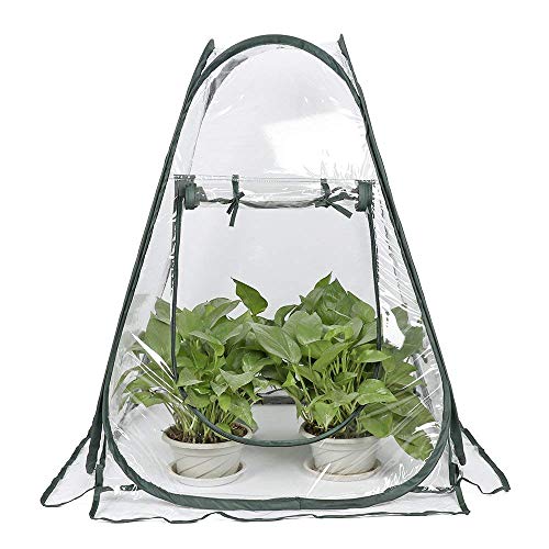 Mini invernadero Pop up Grow House, cubierta de invernadero de PVC para interiores y exteriores, cubierta de plantas de jardinería portátil pequeña, refugio de flores para jardín, 70 x 70 x 80 cm