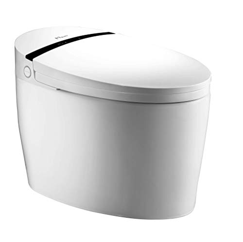 Nashi Aldara New Inodoro Bidet completo, Asiento Sanitario japonés Inteligente, WC para baño con Ducha eléctrica