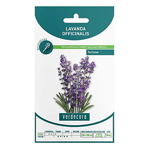 SEMILLAS LAVANDA VERDECORA