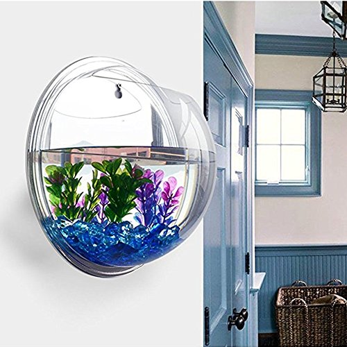 Sotoboo - Macetero de pared para colgar - hecho de acrílico transparente - ideal como jarrón de flores, plantas, pecera o acuario - para decoración del hogar y oficina, transparente, 29.5cm