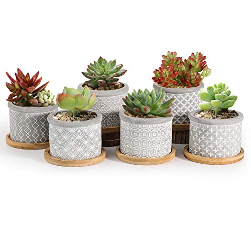 T4U 6CM Macetas para Cactus de Cemento con Plato de Bambú Paquete de 6, Mini Maceteros Pequeños para Suculento Plantas Casa y Jardin Boda Decorativos Interior