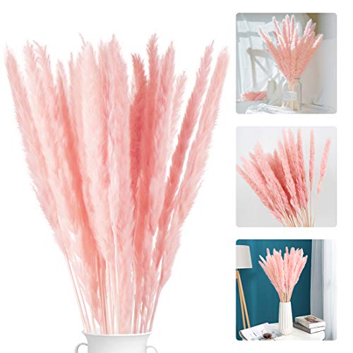 Wishstar 30Pcs Pampas Secas Grass Naturales Blancos Pampas Phragmites Flores Secas para Jarrones Hogar Mesa Fiesta Balcon Exteriores e Interiores