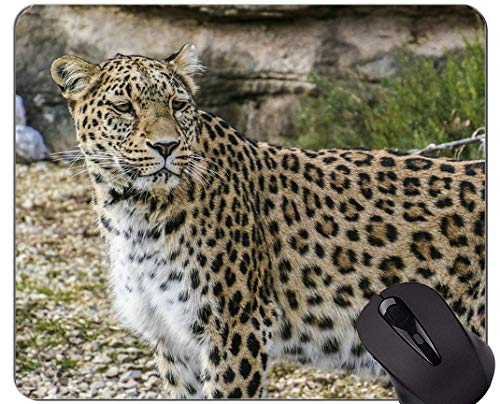 Yanteng Gaming Mouse Pad Custom, Leopardo Persa Leopard Mouse Pad con Borde Cosido