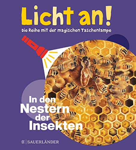 In den Nestern der Insekten: Licht an!: 11