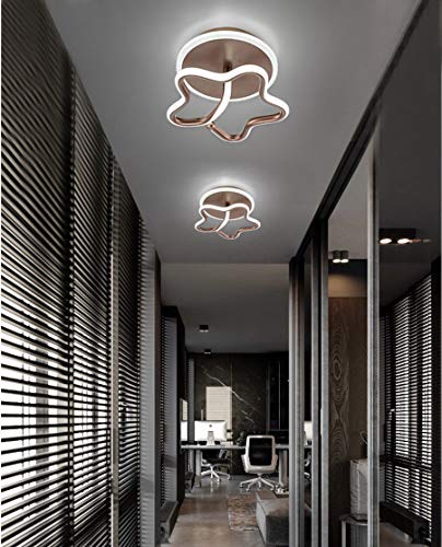 Luz de Techo LED Regulables Modernas, Luces De Pasillo Simples 15W Forma De Flor Creativa Lámpara de Techo Marrón Vestidor De Aluminio Acrílico Balcón Cocina Plafón De Techo