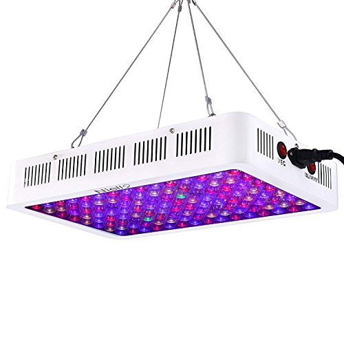 Niello Lampara de Cultivo 600w, luz de Crecimiento LED de la Serie de Lentes ópticas, luz de Planta de Espectro Completo con IR UV para Plantas de Interior Veg y Bloom