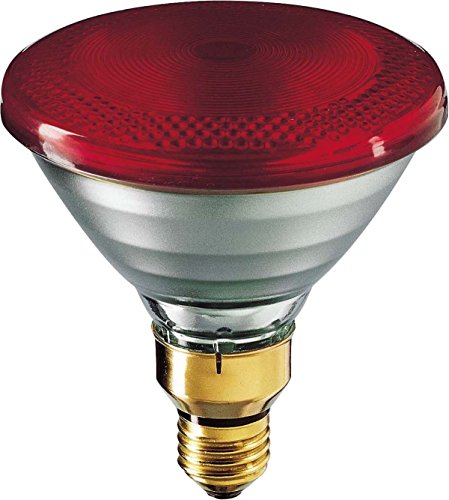 Philips Lámpara de calor por infrarrojos 175 W E IR 175 R PAR38/240 V