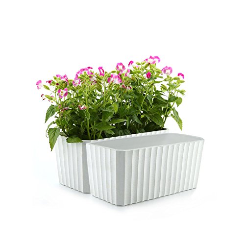 ComSaf Auto Riego Plantador Blanco 28CM Cuadrado Paquete de 2, Planta Maceta Cajas para Interiores Al Aire Libre Jardines de Windowsill Idea Regalo para Cumpleaños y Boda y Navidad