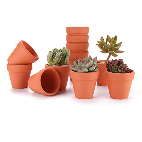 T4U Arte Arcilla de Terracota Rojo 6.5CM Paquete de 12, Maceta de Planta Vivero Suculento Cactus Hierba DIY Jardinería Decoración para Escritorio Antepecho de Oficina Regalo para Boda Navidad