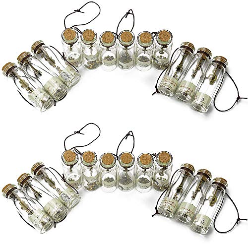 24 Piezas Colgante Mini Botellas de Deseos, Botella de Vidrio Transparente con Tapón de Corcho, Botellas de Deseos de Bricolaje, para Decoración de DIY,Especias, Boda, Recuerdo de Fiesta