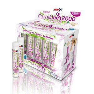 Amix Carniline Pro Fitness 2000 10*25 Ml
