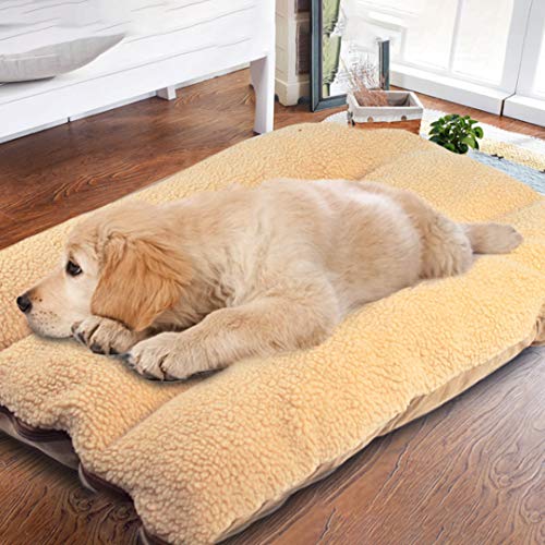 Authda Almohadillas para Perro Grandes Lavables Cómodas Desmontables Antideslizantes con Cordero de Cachemira Extra Suave para Interior y en Ambos Lados