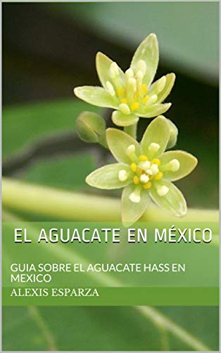 El Aguacate en México: GUIA SOBRE EL AGUACATE HASS EN MEXICO