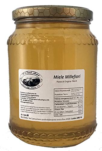 Miel 100% pura de abeja, natural, artesana Kg.1