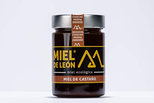 Miel de castaño 100% natural y ecológica - producto español